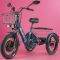 Трехколесный электровелосипед GREEN CITY e-ALFA Trike